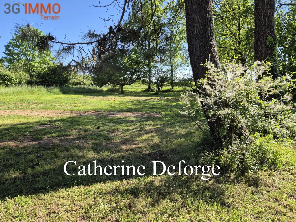 Jardin - Terrain Constructible Arboré près de Saint-André-de-Cubzac