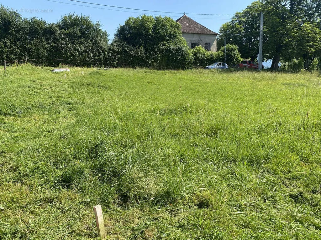 Jardin - Terrain au Calme avec Vue Sud à Brangues