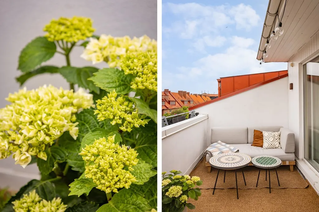 Balcon - Penthouse with Balcony & Terrace in Södermalm