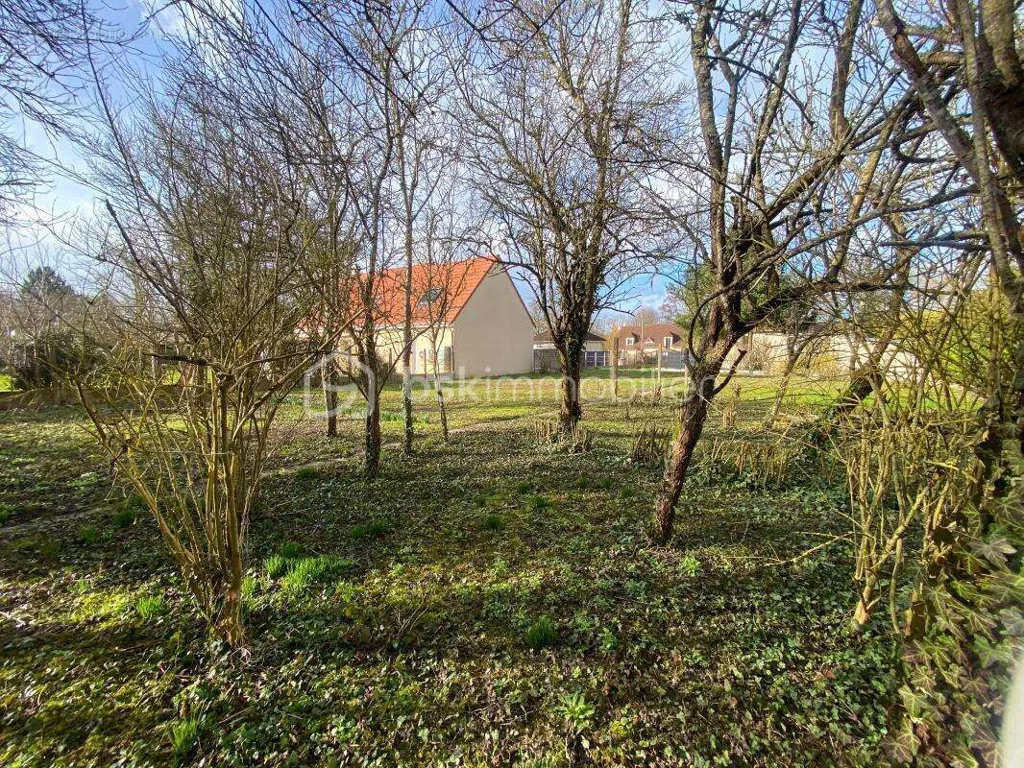 Aed - Buildable Plot with South Exposure in Thivars