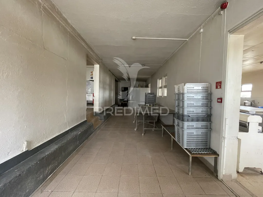 Entrée - Industrial Unit with Bakery in Urzelina