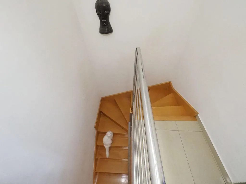 Rooms - Duplex with Balcony in Ca n'Oriol