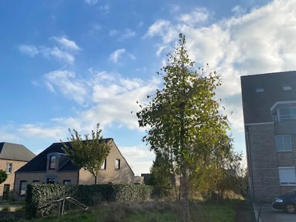 Jardin - Terrain à Bâtir entre Diepenbeek et Hasselt