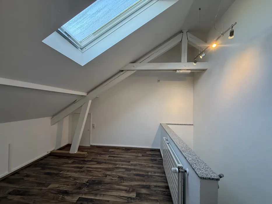 Toad - 5-Bedroom House with Multiple Uses in Luxembourg