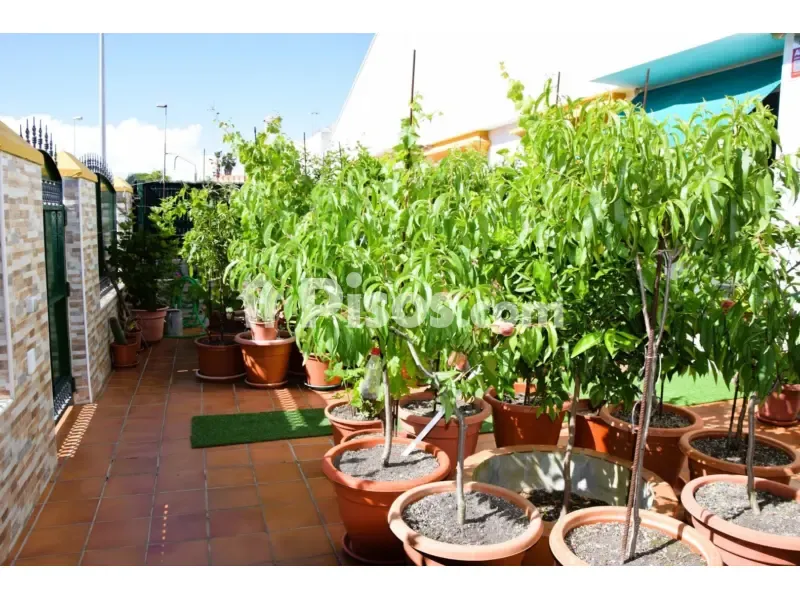Aed - Chalet with Sea View in El Portil