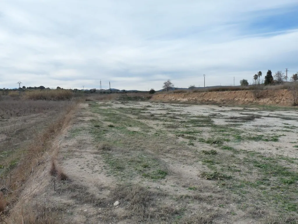 Jardin - Buildable Plot with Water Access in Alfarrasí