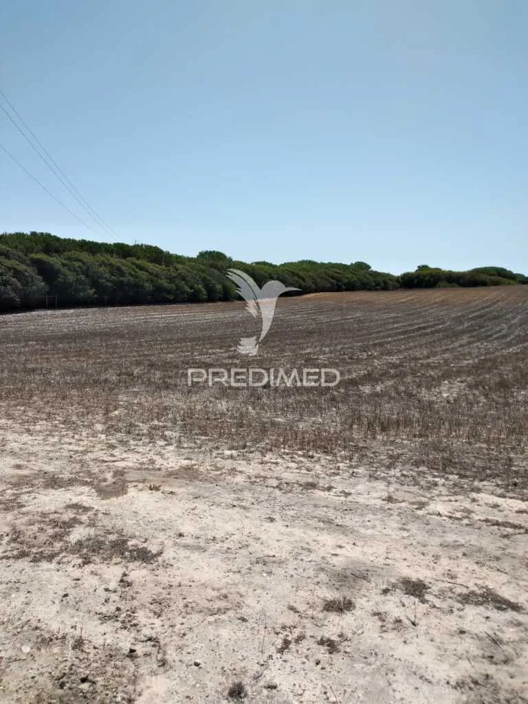 Jardin - Rustic Plot with Sea Access in Porto Côvo