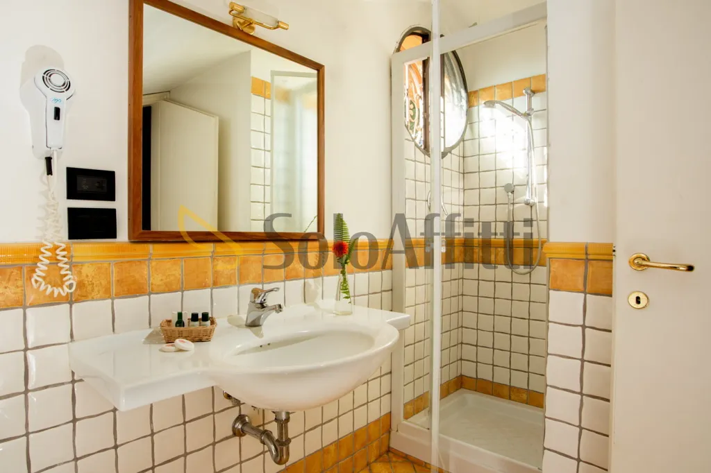 Salles de bain - Furnished Villa Room in Grottaferrata
