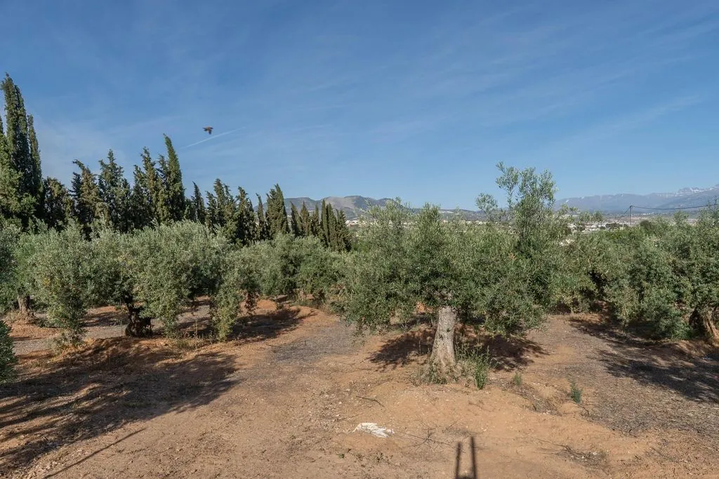 Aed - Buildable Land with Granada Views in Albolote