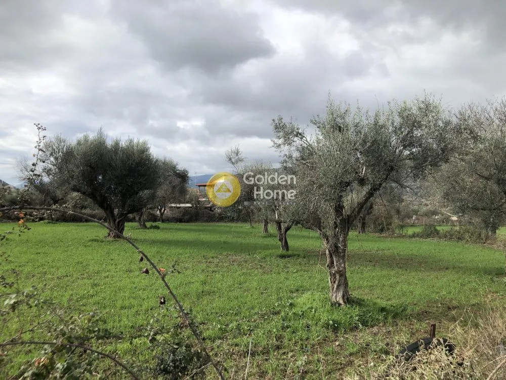 Aed - Land Plot with Mountain View in Evpali
