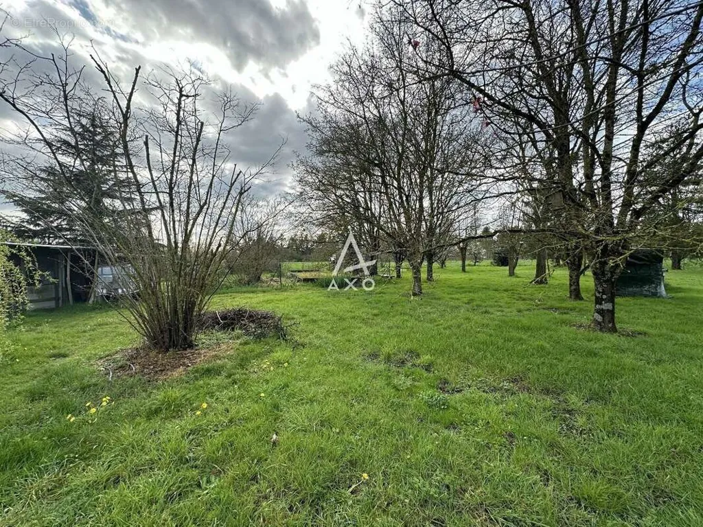 Jardin - Terrain Viabilisé à Montaigu