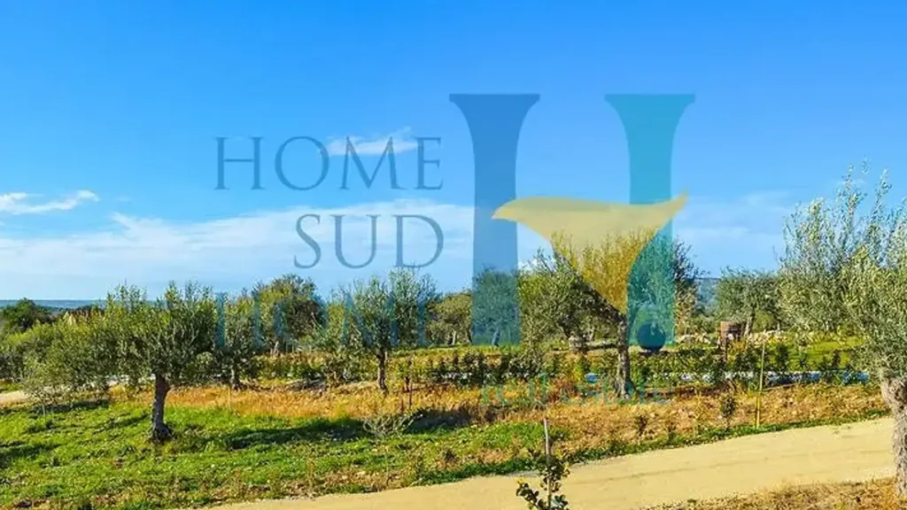 Garden - Villa with Olive Grove in Noto