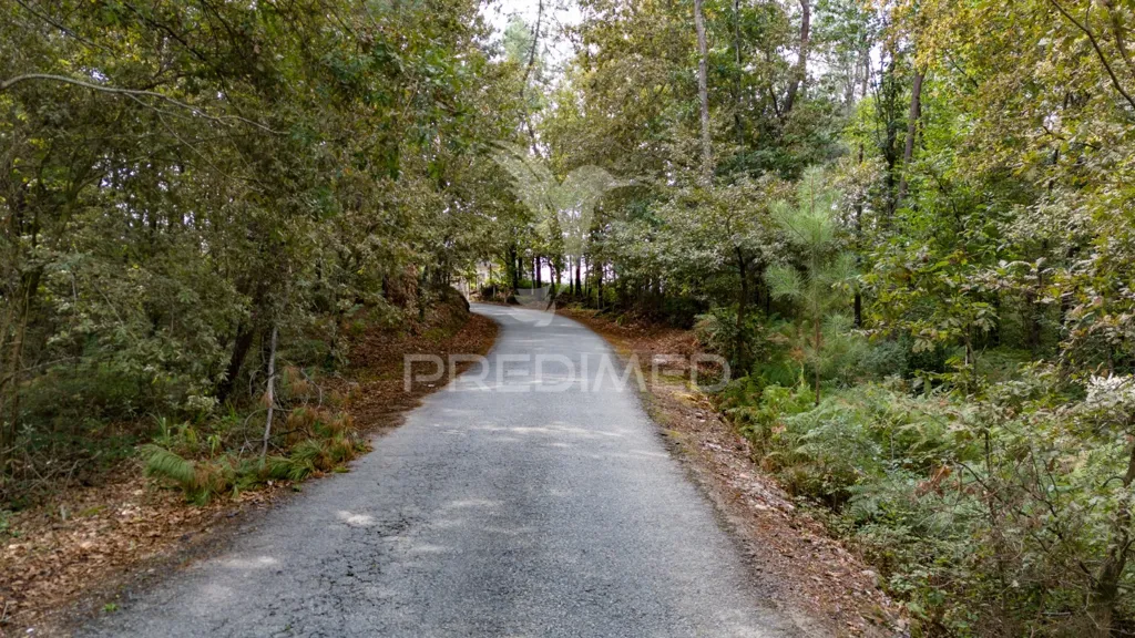 Jardin - Agricultural Land with Construction Viability in Lage