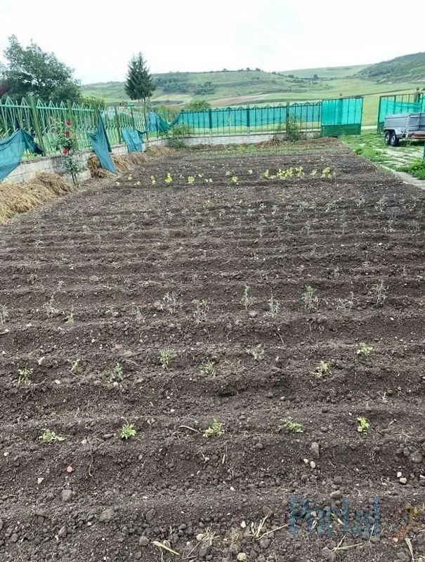 land_plot