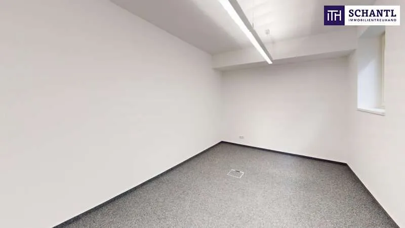 Toad - Commercial Space with A9 Access in Graz-Straßgang