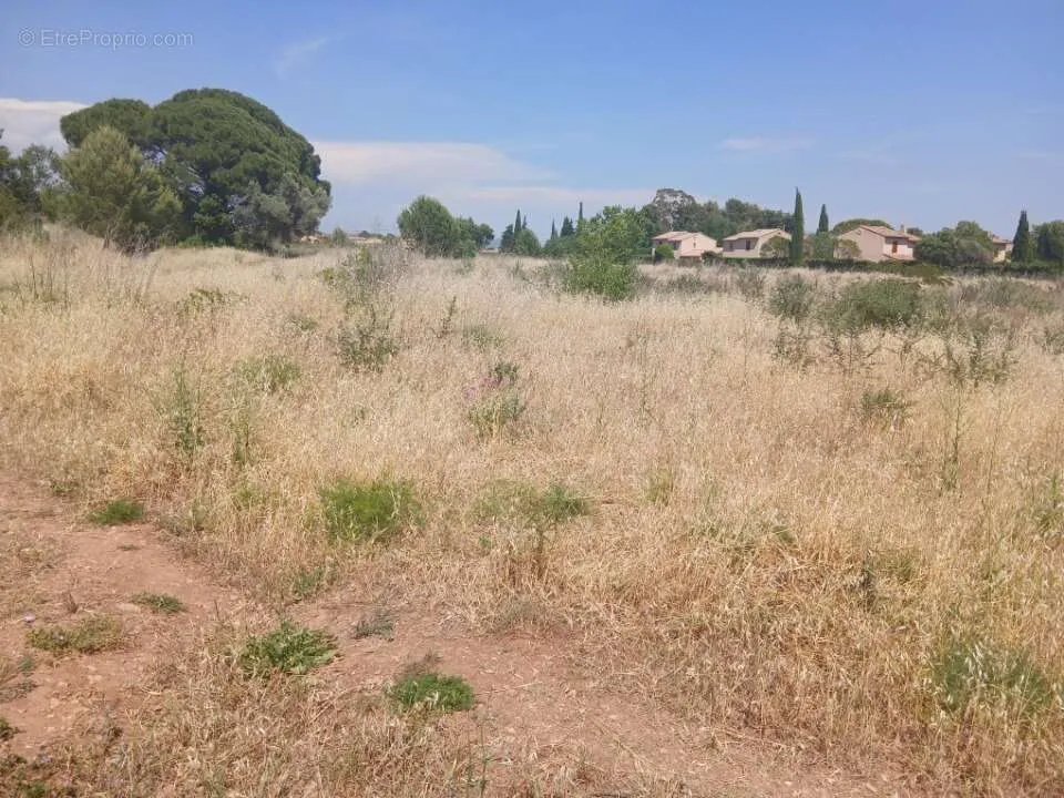 Aed - Buildable Plot with Garden in Cuers
