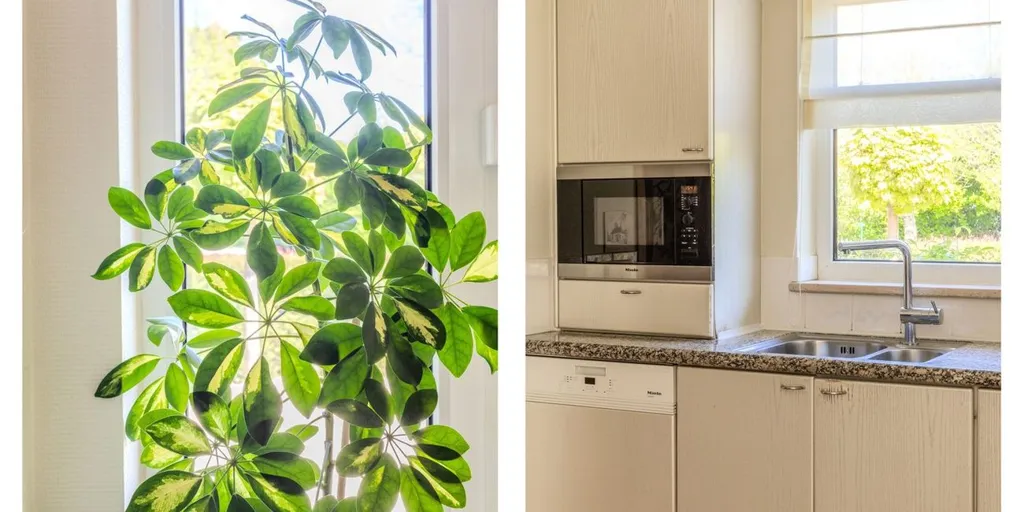 Cucina - Detached House with Garden in Lanaken