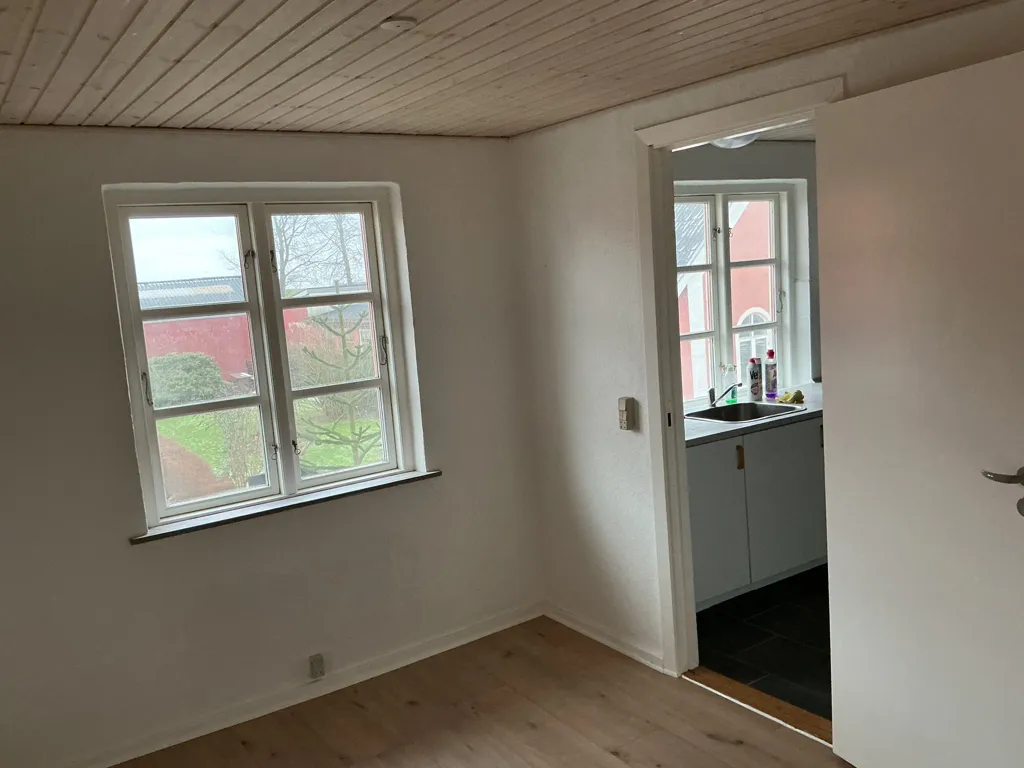 Toad - Two-Bedroom Flat with Balcony in Dalbyover