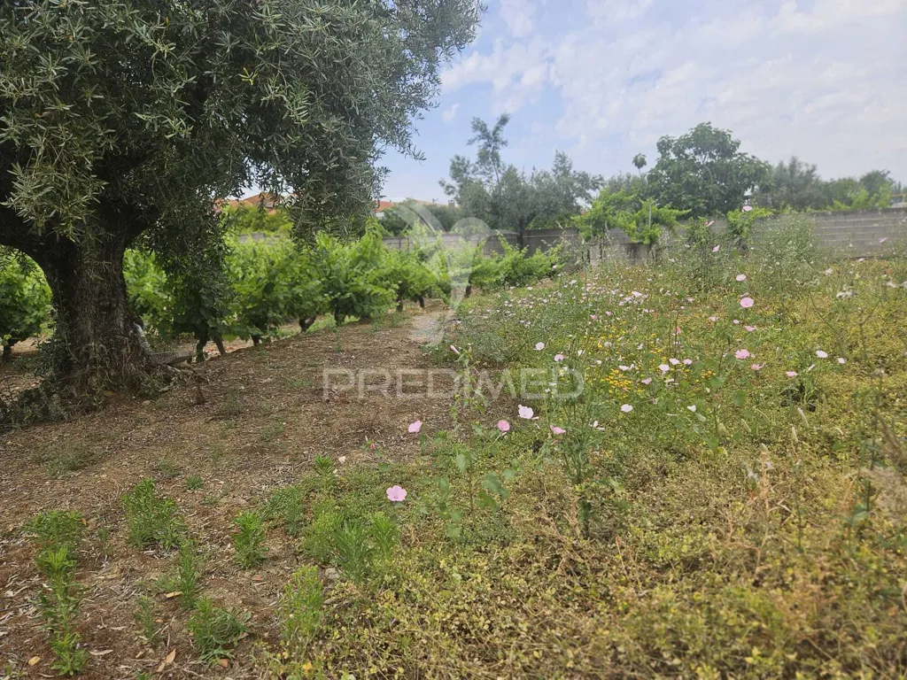 Giardino - Urban Plot with Construction Potential in Valdonas
