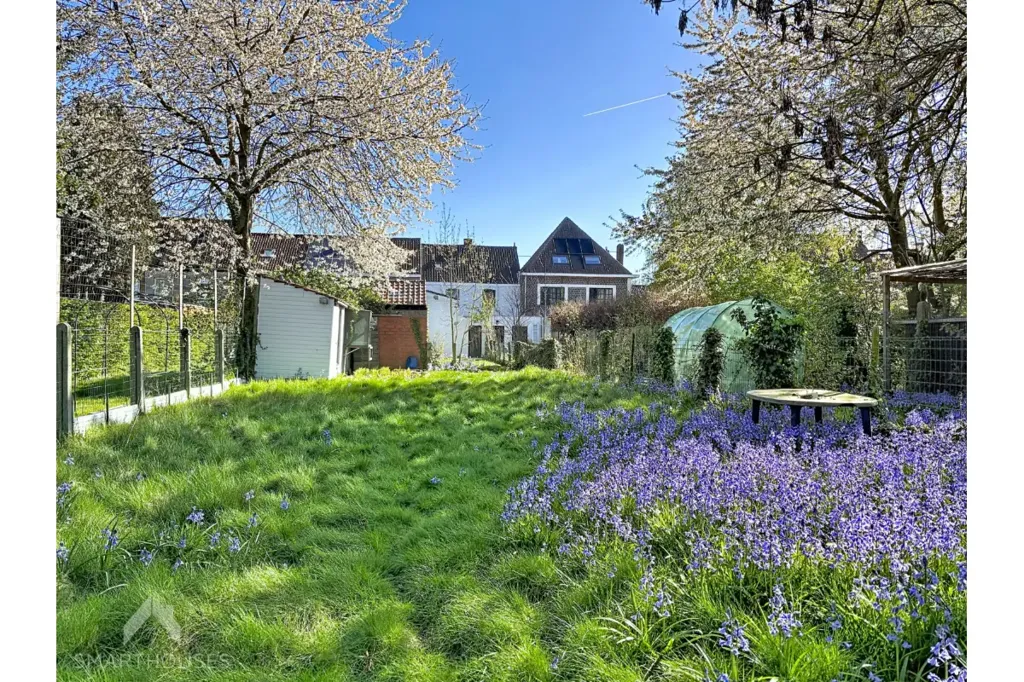 Jardin - Maison avec Jardin et Terrasse à Harelbeke