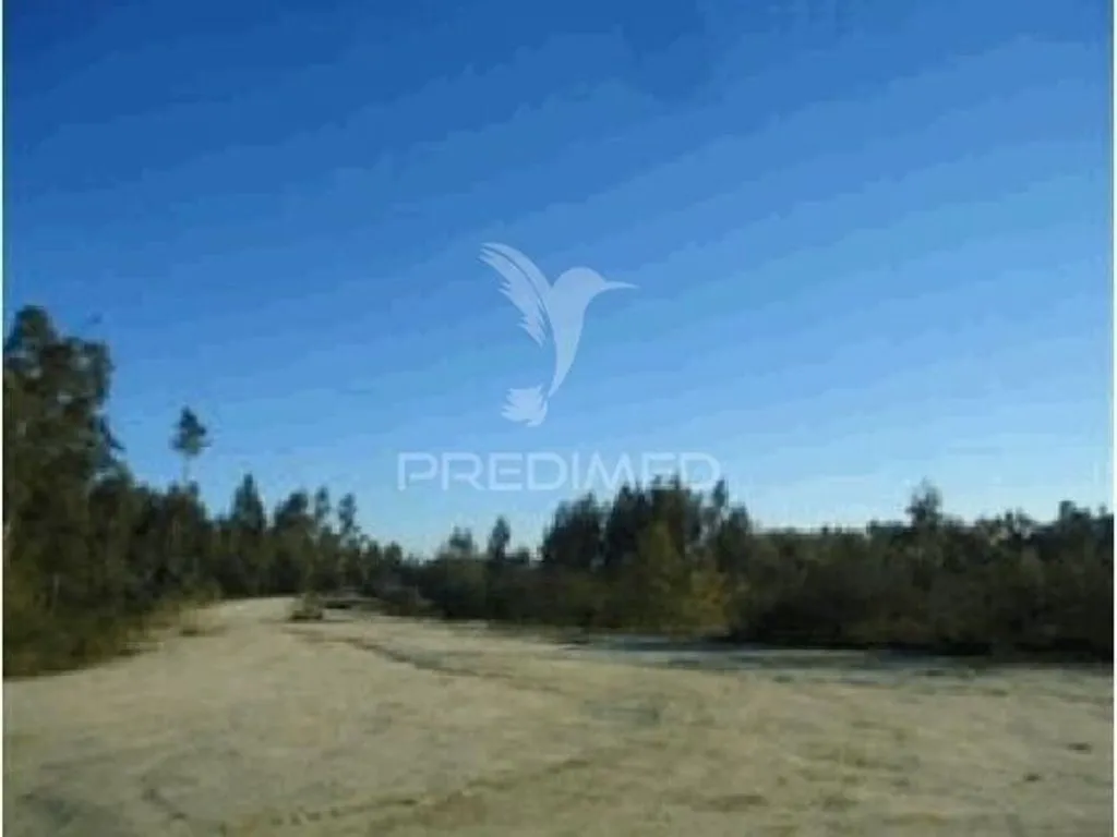 Jardin - Construction Plot with Forest Protection in Seroa