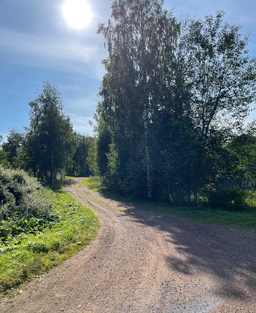 Exterior - Villa Plot with Nature Access in Älvdalen