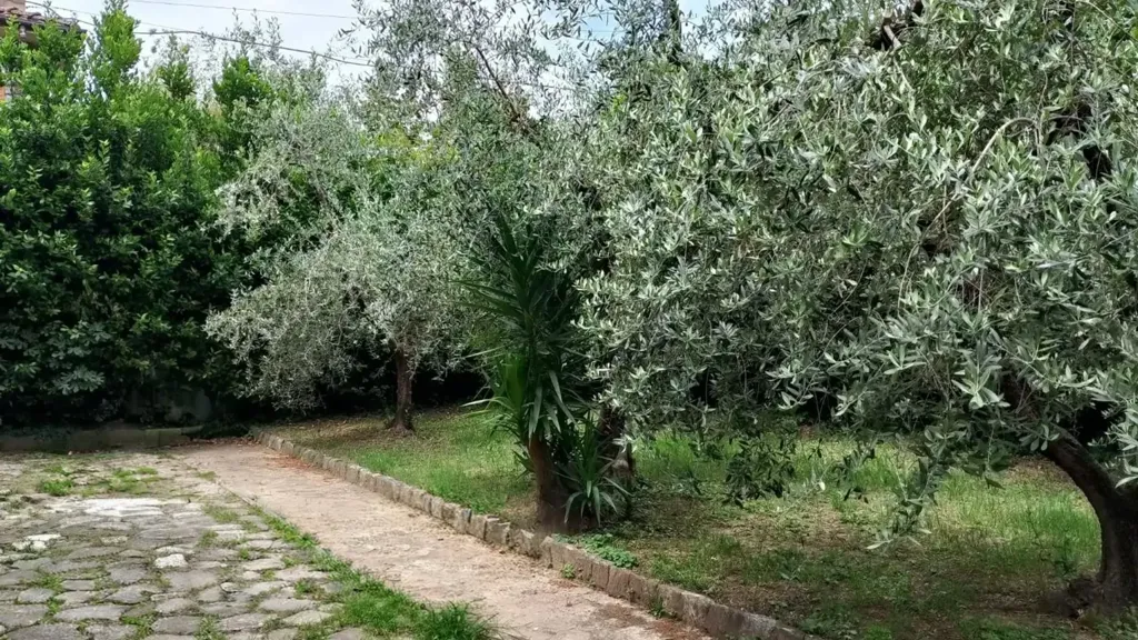 Aed - Villa with Garden in Moriano, Lucca