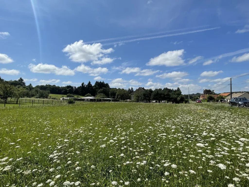 Aed - Constructible Plot near Saint Yrieix la Perche