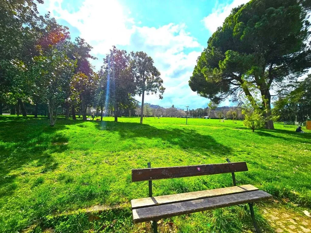 Penthouse with Panoramic Views in Bologna