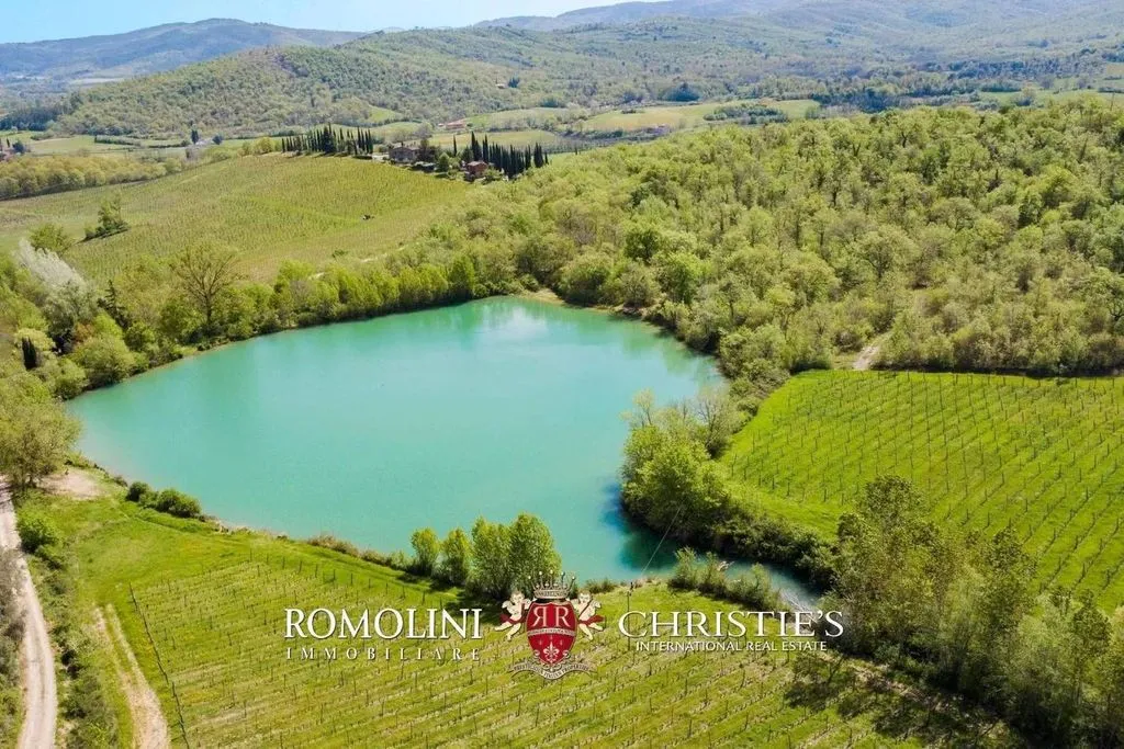 Jardin - Vineyard Estate with Chianti DOCG in Bucine