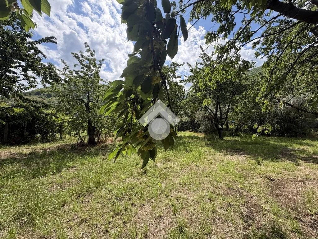 Jardin - Agricultural Land with Cherry Trees in Cervinara
