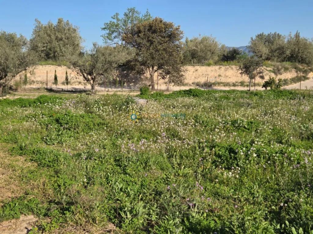 Aed - Plot with Two Buildings near L'Olleria