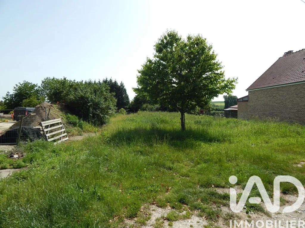 Jardin - Terrain à Bâtir dans un Environnement Calme à Albert
