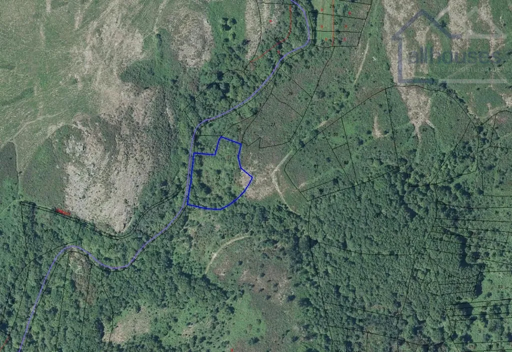 Rustic Land Parcels in Covelo