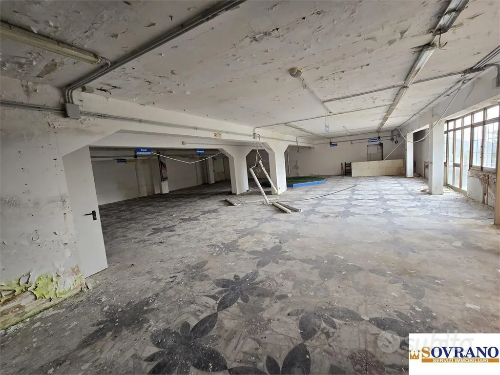 Toad - Commercial Complex with Parking in Monreale
