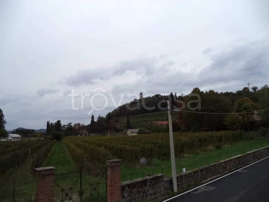 Jardin - Independent House with Garden in Cormons