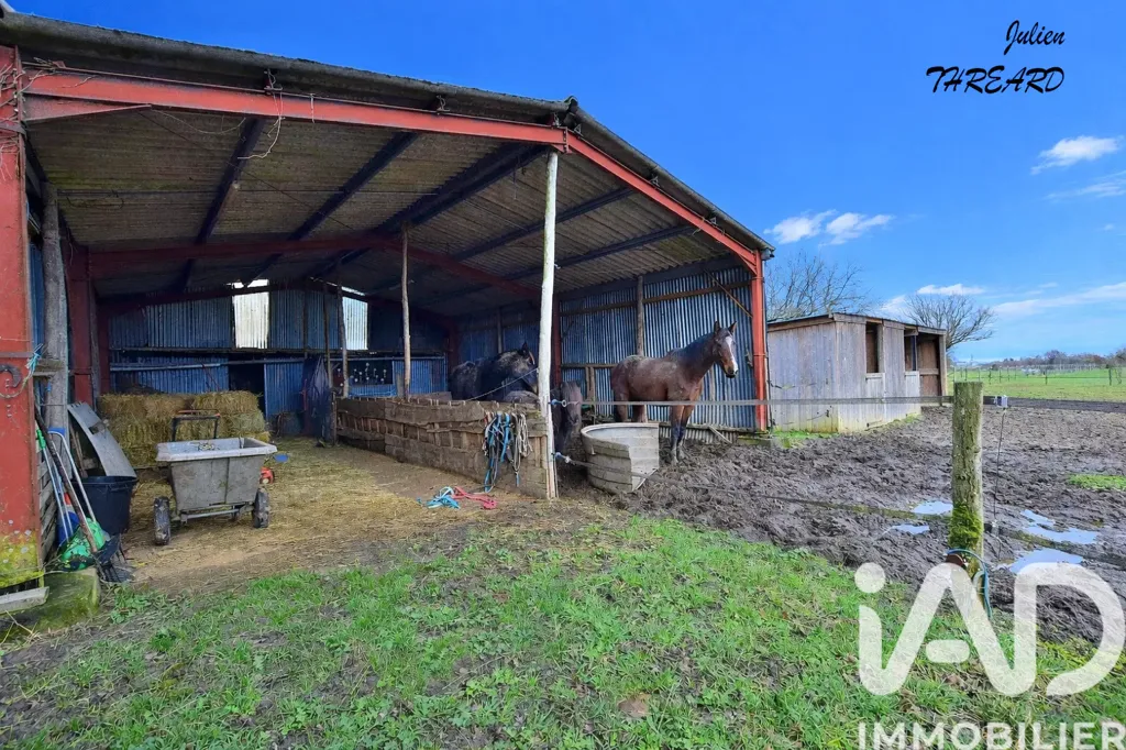 Exterior - Charming Longère with Equestrian Facilities in Manthelan