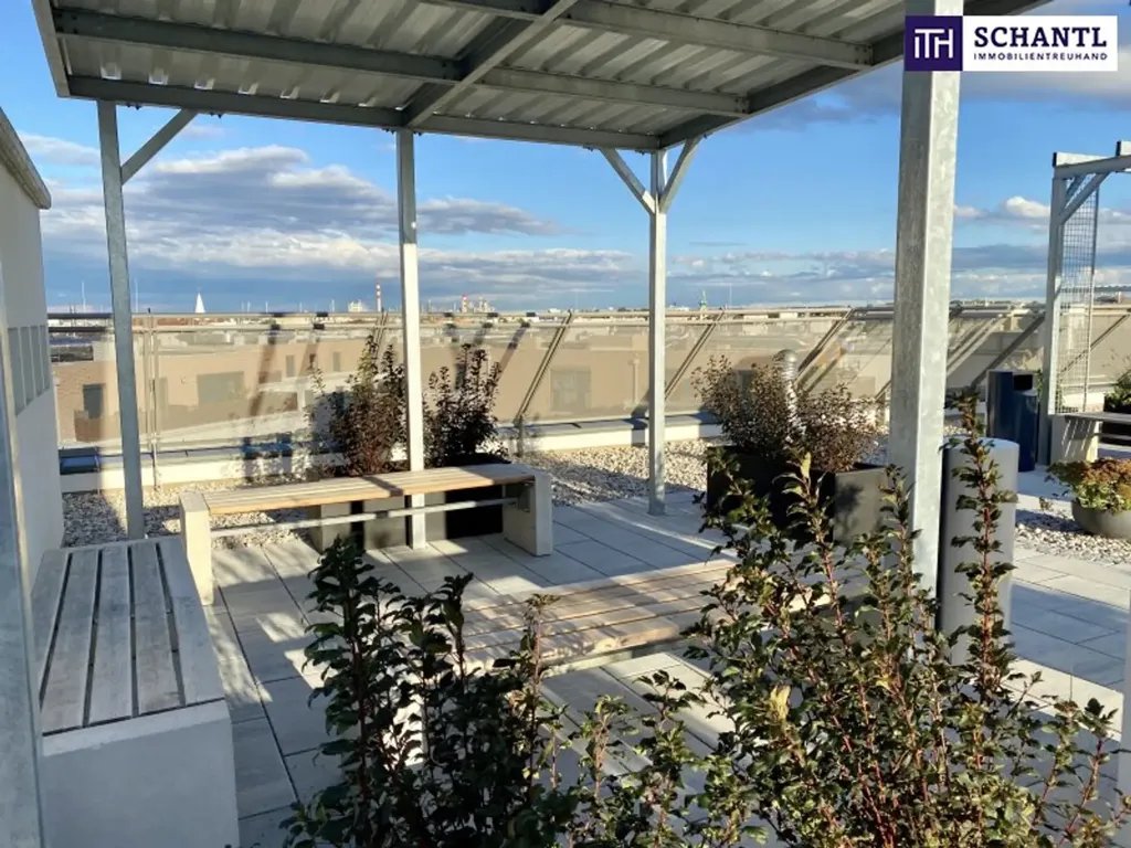 Terrasse - Two-Bedroom Apartment with Large Loggia in Schwechat