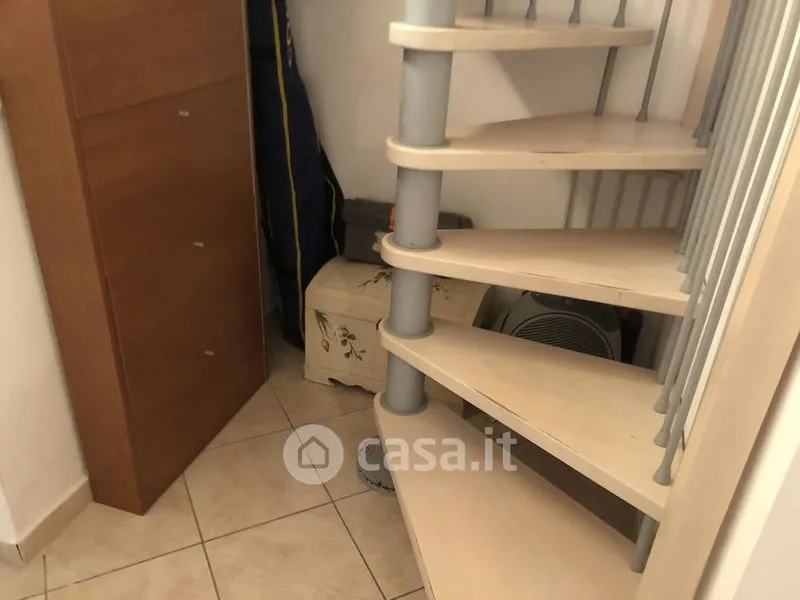 Toad - Five-Room Apartment with Private Terrace in Grosseto