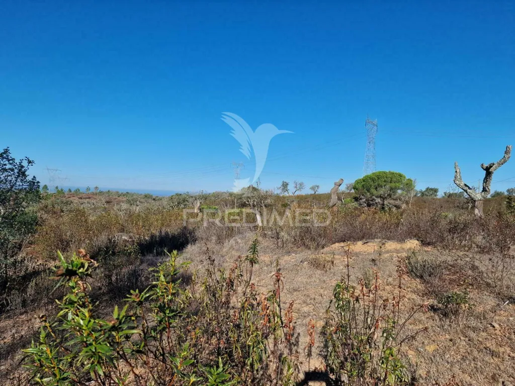 Jardin - Ruin with Construction Potential in São Francisco da Serra