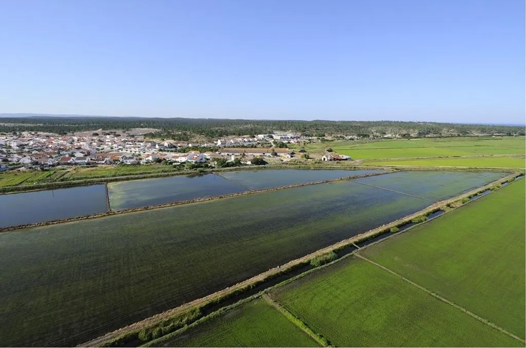 Õhuvaade - Development Land with Beach Proximity in Comporta