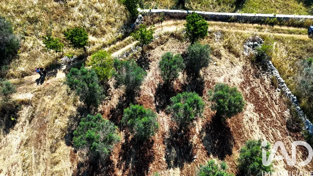 Õhuvaade - Trulli with Approved Villa Project in Carovigno