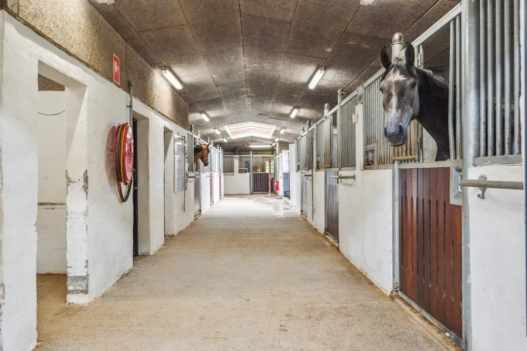 Entrée - Equestrian Estate with Spa in Vinding
