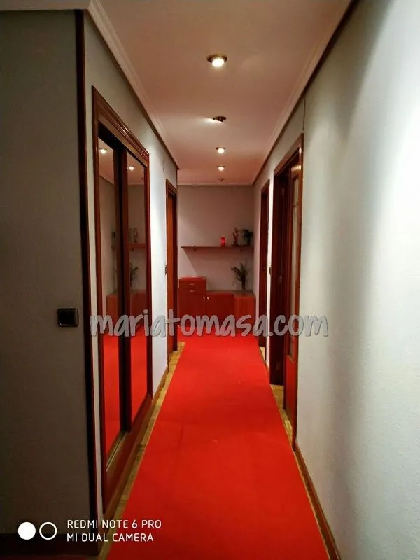 Ingresso - Spacious Flat with Terrace in Judizmendi