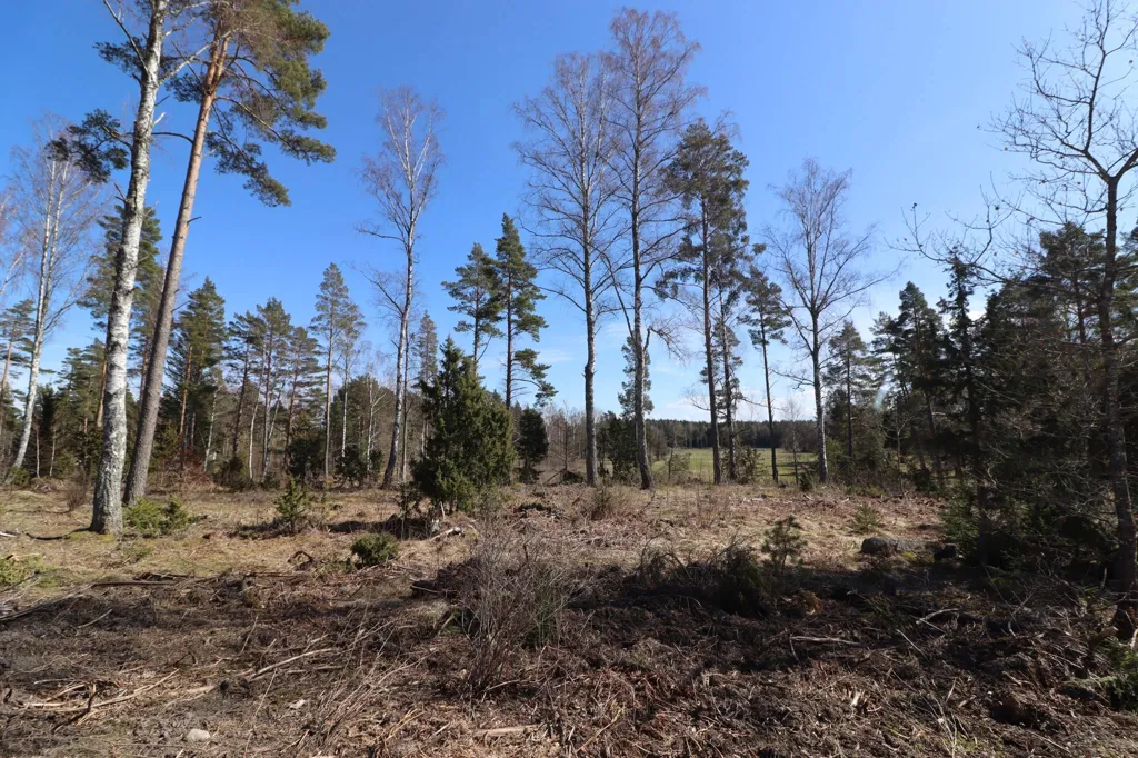 Garden - Land Plots with Utilities Near Gottröra