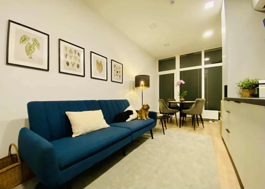Séjour - Renovated 2-Bedroom Flat in Vilnius