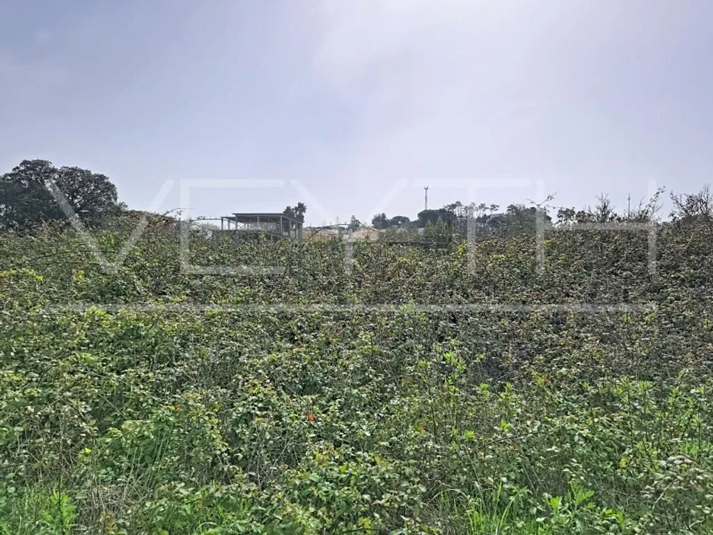 Garden - Development Land with Residential Potential in Sesimbra