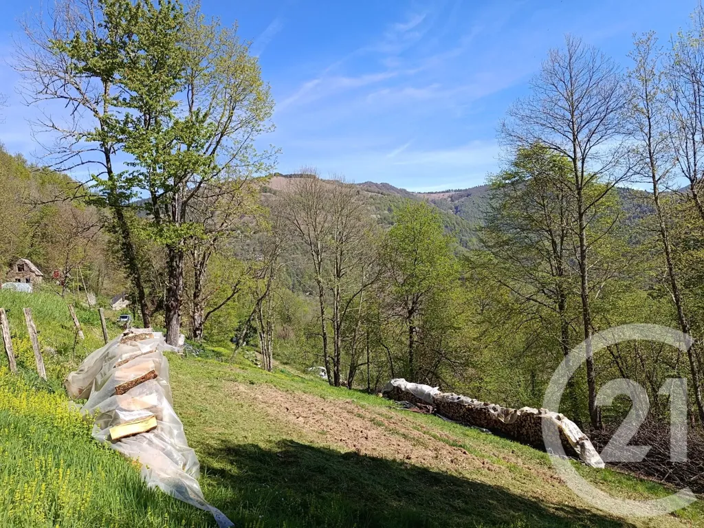 Jardin - Maison en Pierre avec Terrain à Aleu