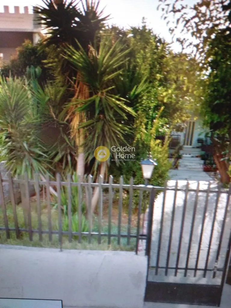 Aed - Land with Two Houses in Salamina Centre