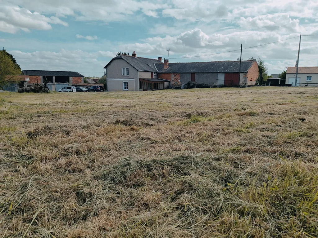Jardin - Longère avec Écuries à Nueil-sur-Layon